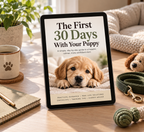 The First 30 Days With Your Puppy