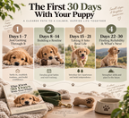 The First 30 Days With Your Puppy
